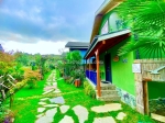 Galeri
